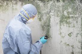 Best Comprehensive Air Testing for Mold Contaminants  in Keno, OR